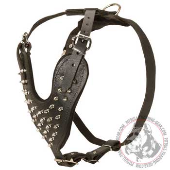 Training Felt Padded Leather Harness for Pit Bull