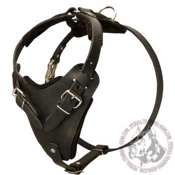 Working Felt Padded Leather Harness for Pit Bull