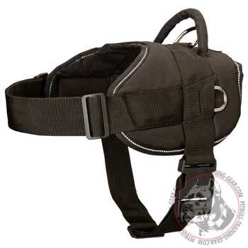 Nylon Pit Bull Harness Heavy-Duty Stitched with Light Reflective Thread