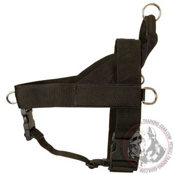 SAR nylon harness for Pit Bull with special patches