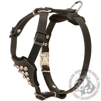Leather Pit Bull Puppy Harness for Walking