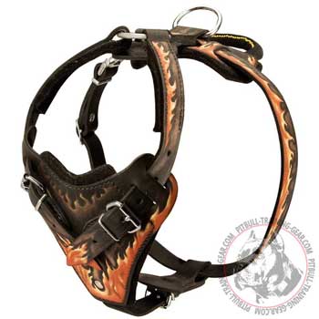 Adjustable Designer Leather Pit Bull Harness Padded with Felt