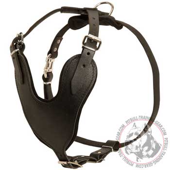 Adjustable Padded Leather Harness for Pit Bull Terrier Training