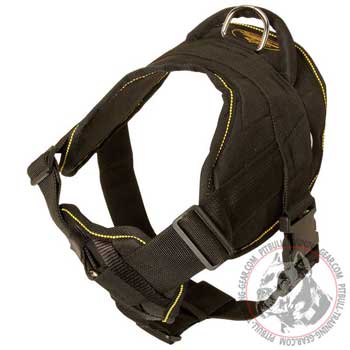 Pit Bull harness for pulling activities