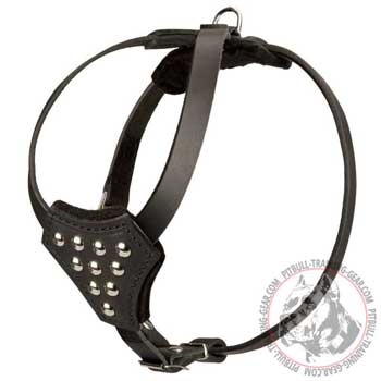 Adjustable Padded Leather Harness for Pitbull Puppy Walking