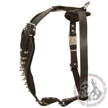 Spiked Leather Pitbull Harness with Extra Strong Adjustable Straps