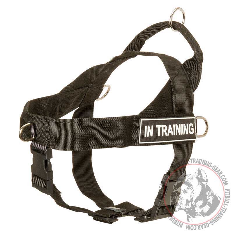 Buy Patches for Nylon Pitbull Harness