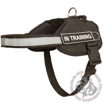 Nylon Pitbull harness for service dogs and training