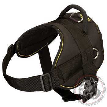 Lightweight Training/Walking Nylon Harness for Pitbull