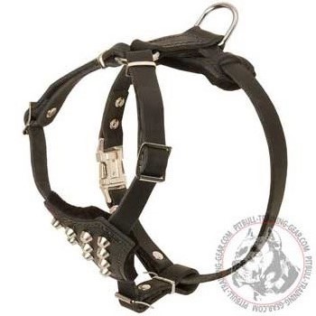 Walking Leather Pitbull Puppy Harness