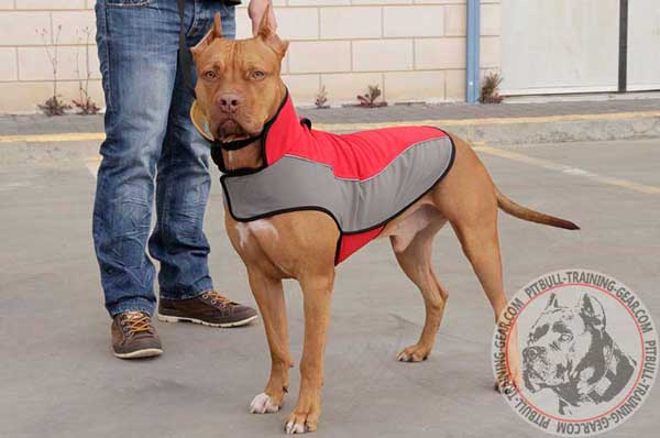 Walking Nylon Winter Pitbull Vest