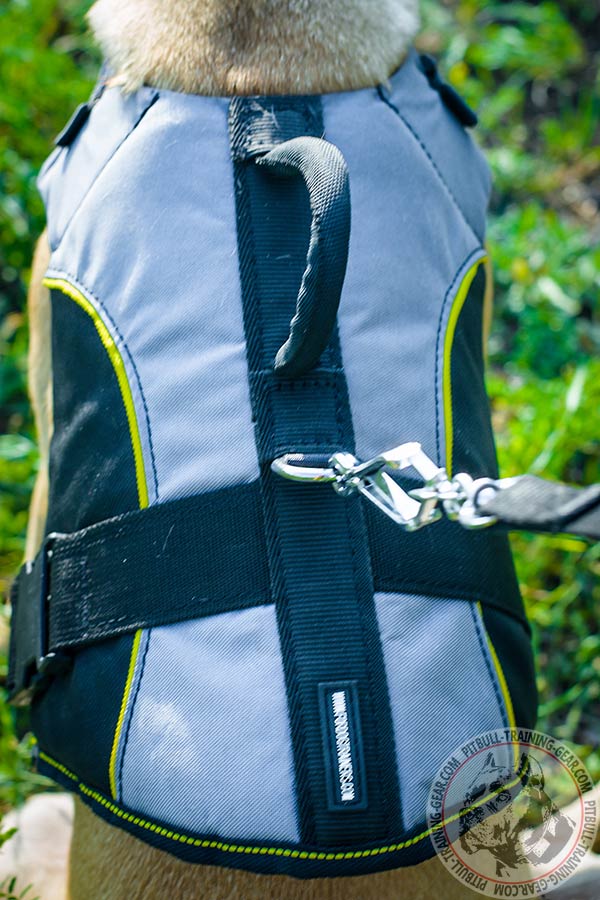 Pitbull nylon harness with durable nickel plated hardware for daily activity