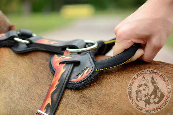 Strong Round Handle on Dog Harness Leather Painted