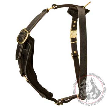 Durable Straps of Adjustable Leather Pitbull Harness