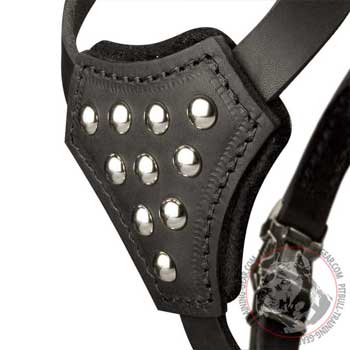 Small Studded Chest Plate on Leather Dog Harness for Puppy