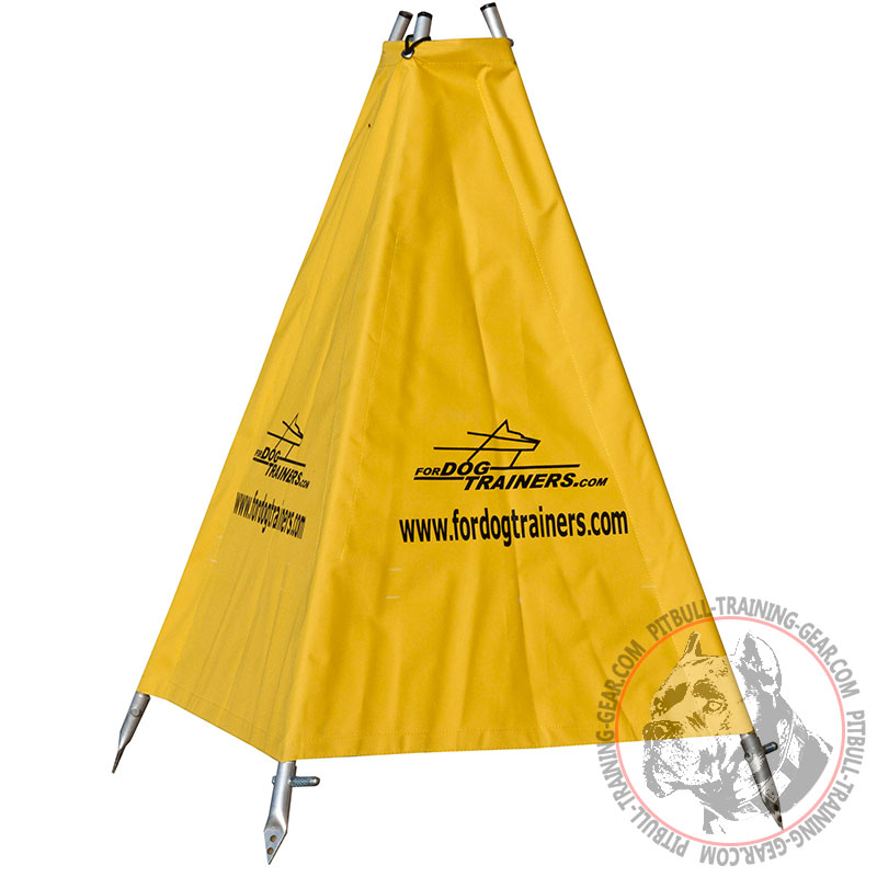 Get Professional Schutzhund Small Pitbull Blind Dog Training