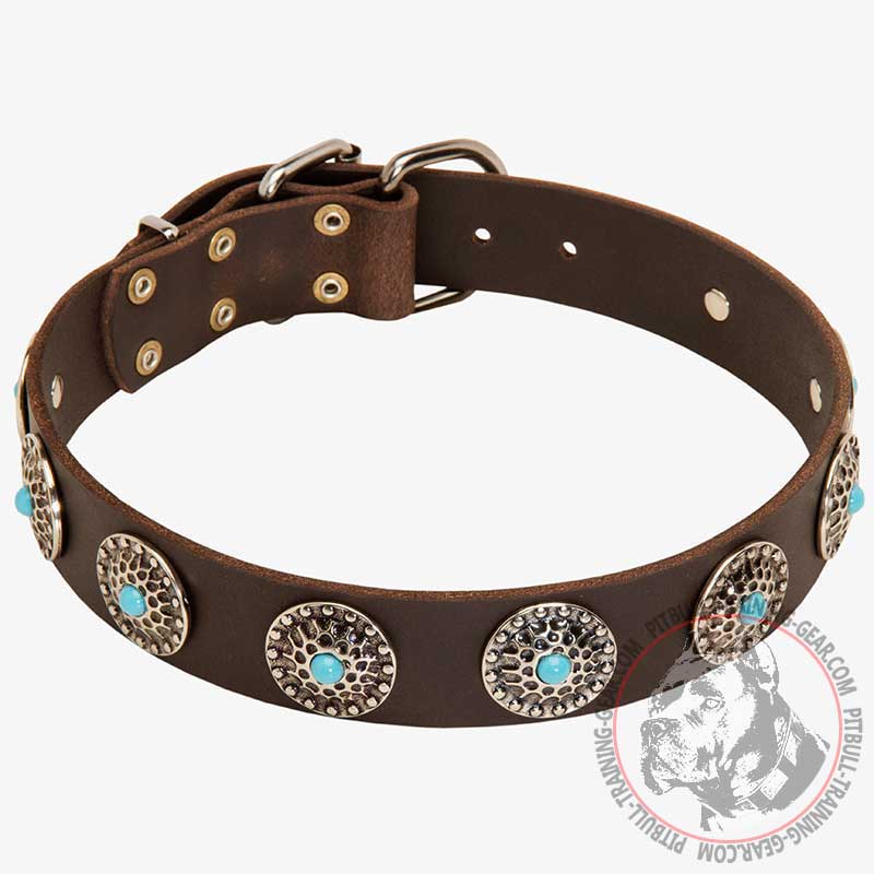 Designer Leather Pitbull Collar with Precious Conchos