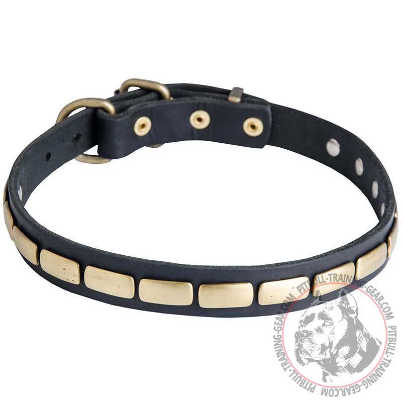 Exceptional Leather Pitbull Collar with Brass Plates for Walking