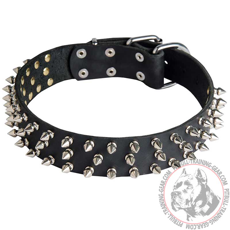 Leather Pitbull Collar Decorated with 3 Rows of Spikes