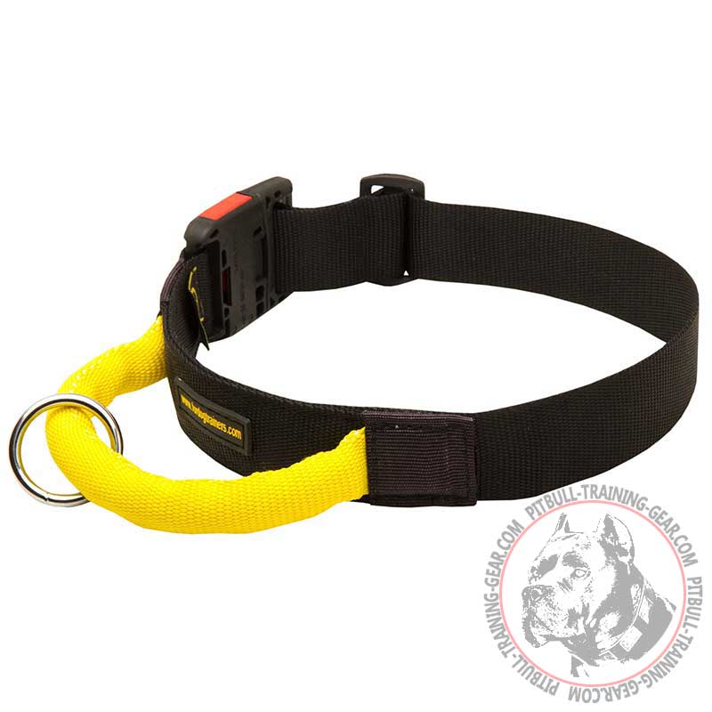Strong Nylon Pitbull Collar for Training with Handle