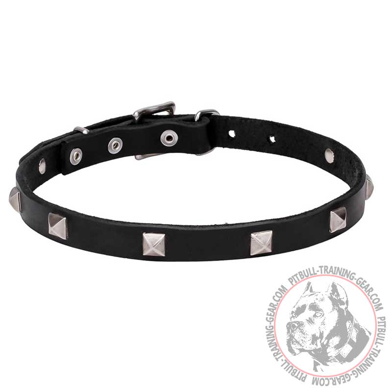'A La Mode' 3/4 Inch (20 mm) Pit Bull Leather Dog Collar with Pyramids - Click Image to Close