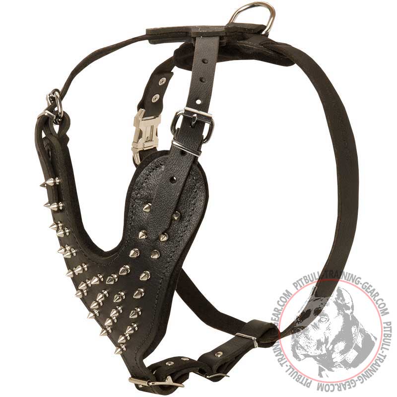 Topnotch Spiked Leather Harness for Pit Bull Walking and Training