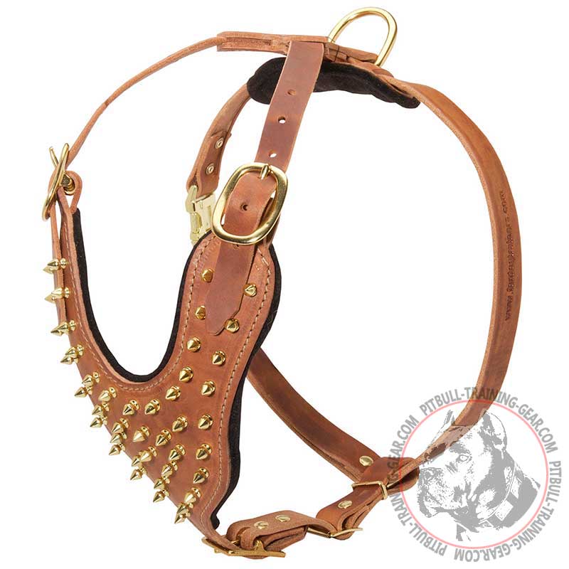 Handcrafted Padded Leather Pitbull Harness with Brass Spikes for Walking