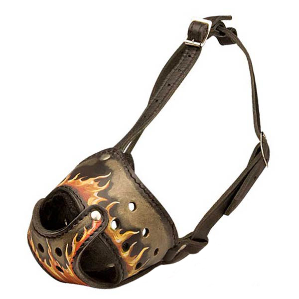Anti-Barking Painted Leather Pitbull Muzzle for Walking and Training