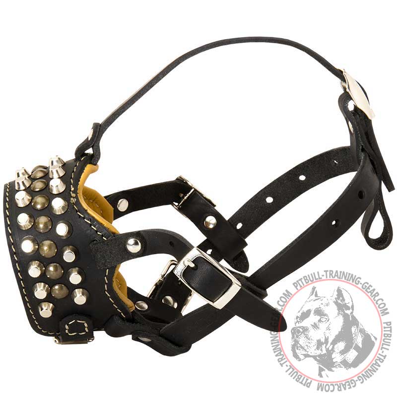 Anti-Barking Leather Pit Bull Muzzle with Studs for Training