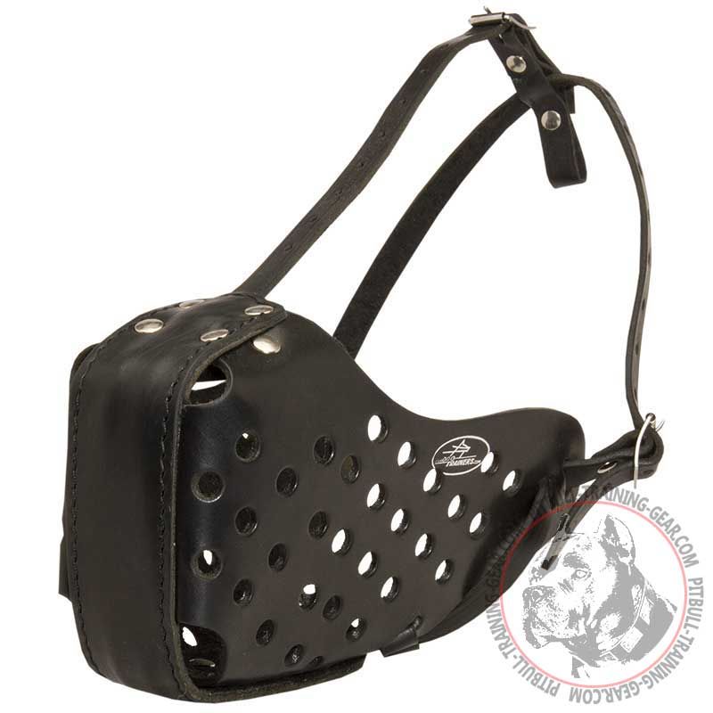 Professional Leather Pitbull Muzzle "Dondi" for Attack Training