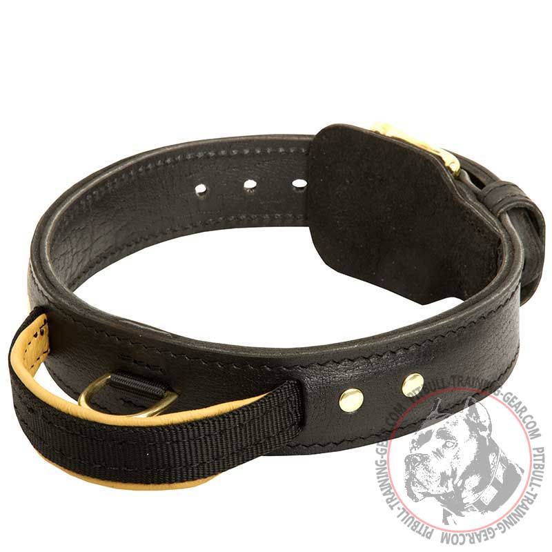 Training Durable Leather Pit Bull Collar with Convenient Handle