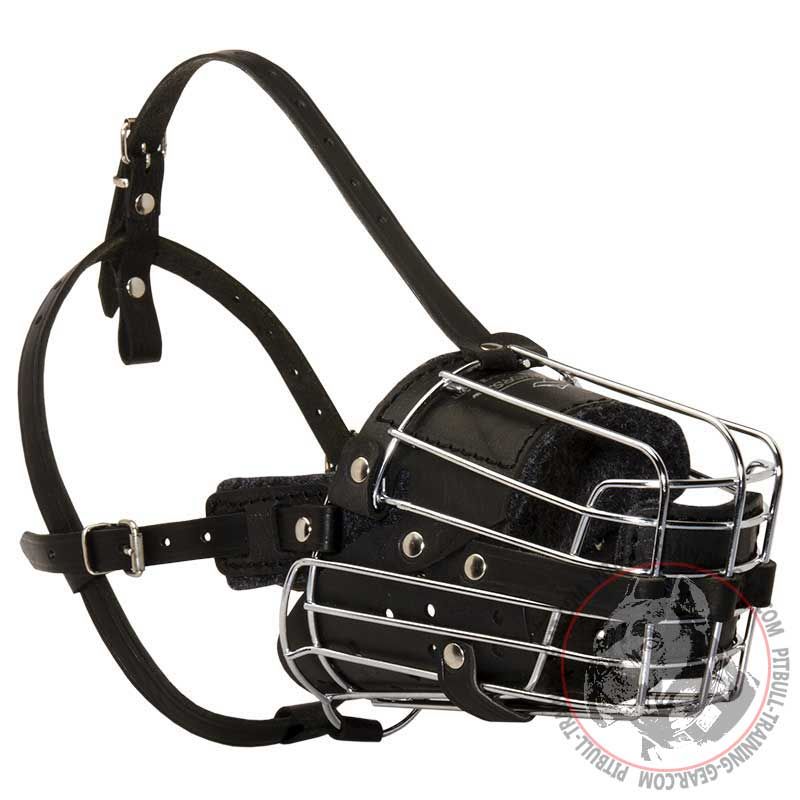 Fully Padded Wire Basket Pitbull Muzzle for Training/Walking