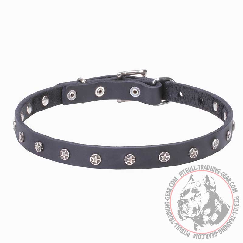 "Stellar" 20 mm Leather Dog Collar with Nickel Plated Stars