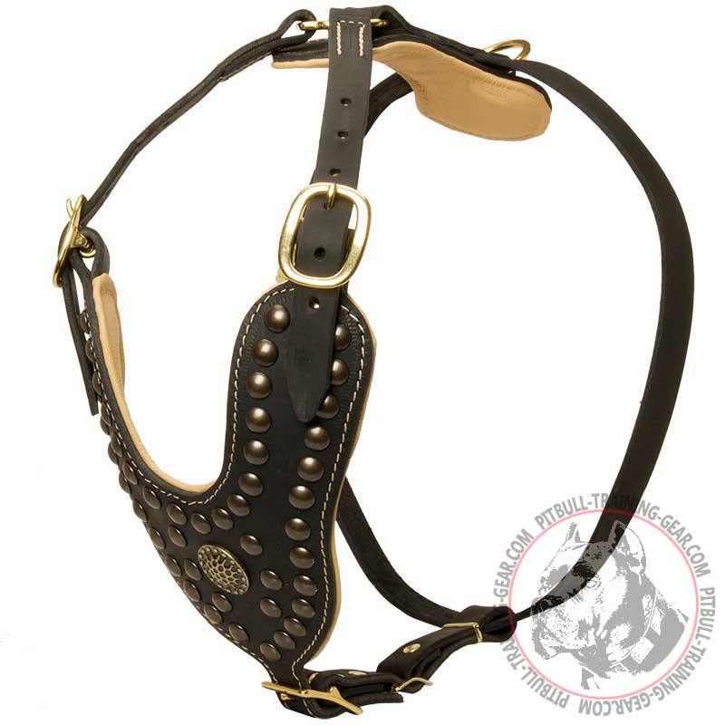 Fashion Padded Leather Dog Harness for Pitbull
