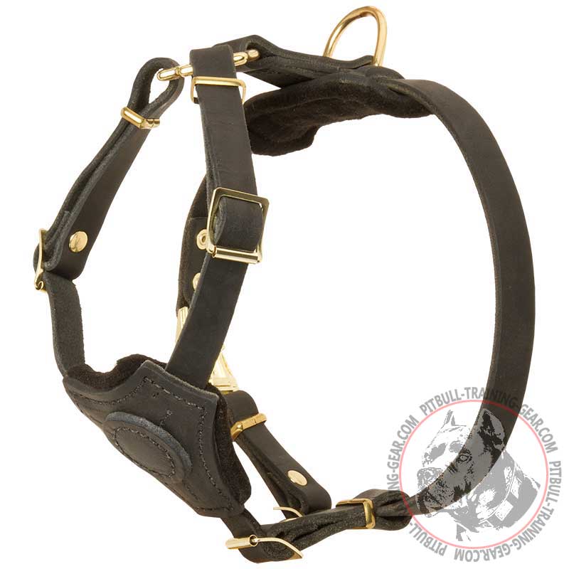 Lightweight Leather Dog Harness for Pitbull Puppies