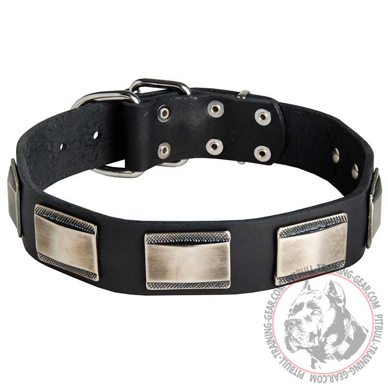 Fashion Leather Dog Collar for Pitbull with Large Nickel Plates