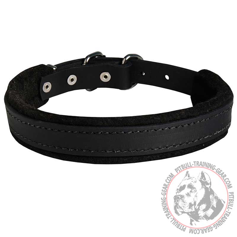 Leather Pitbull Collar - Felt Padded Dog Gear for Attack/Agitation Training