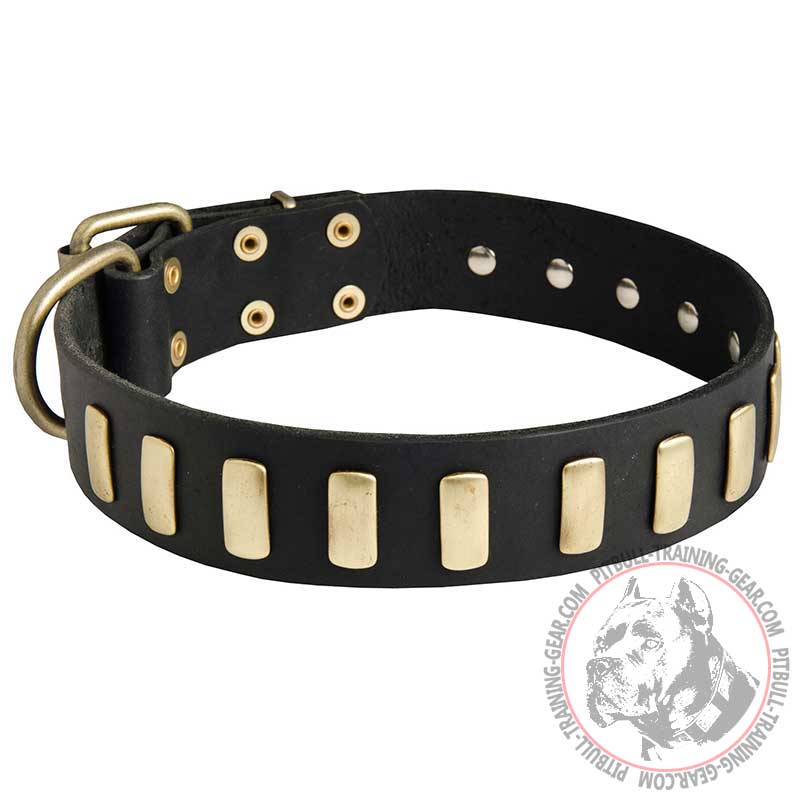 Matchless Leather Dog Collar for Pitbull With Plates - Best Custom Collar