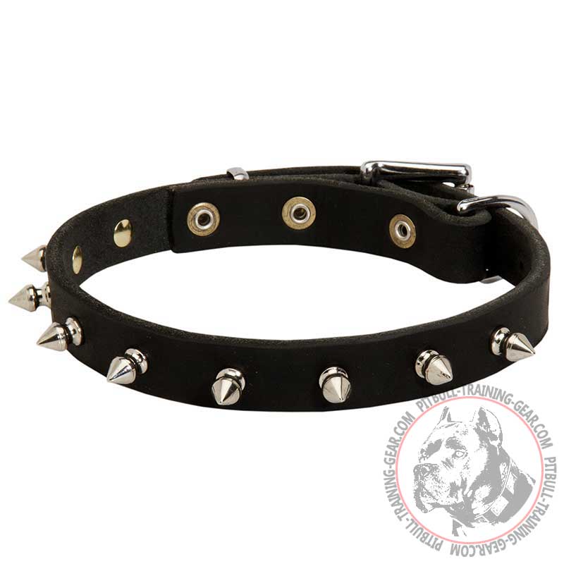 Spiked Leather Dog Collar for Pitbull