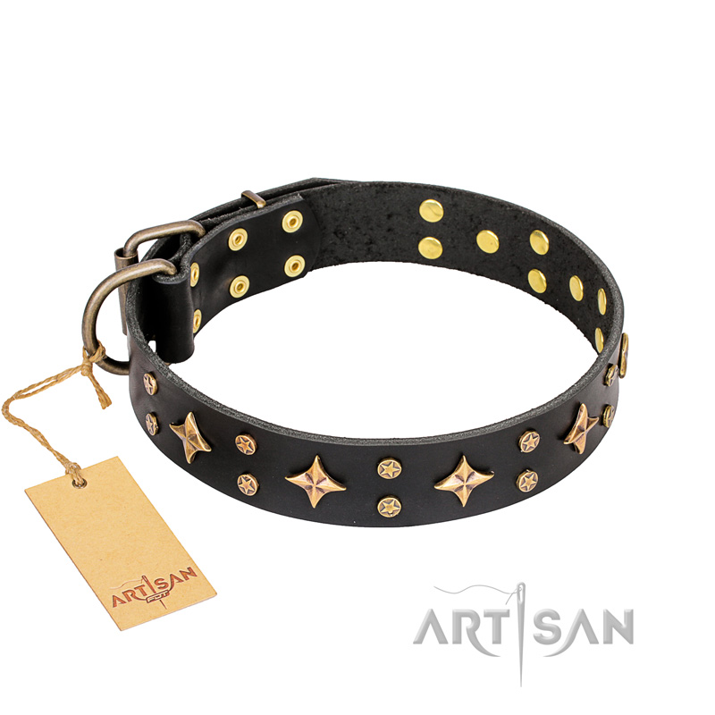 'A La Mode' FDT Artisan Handmade Black Leather Pitbull Collar