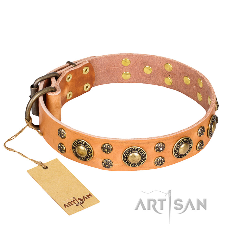 'Sophisticated Glamor' FDT Artisan Pitbull Tan Leather Dog Collar with Fashionable Old-Bronze Plated Decorations