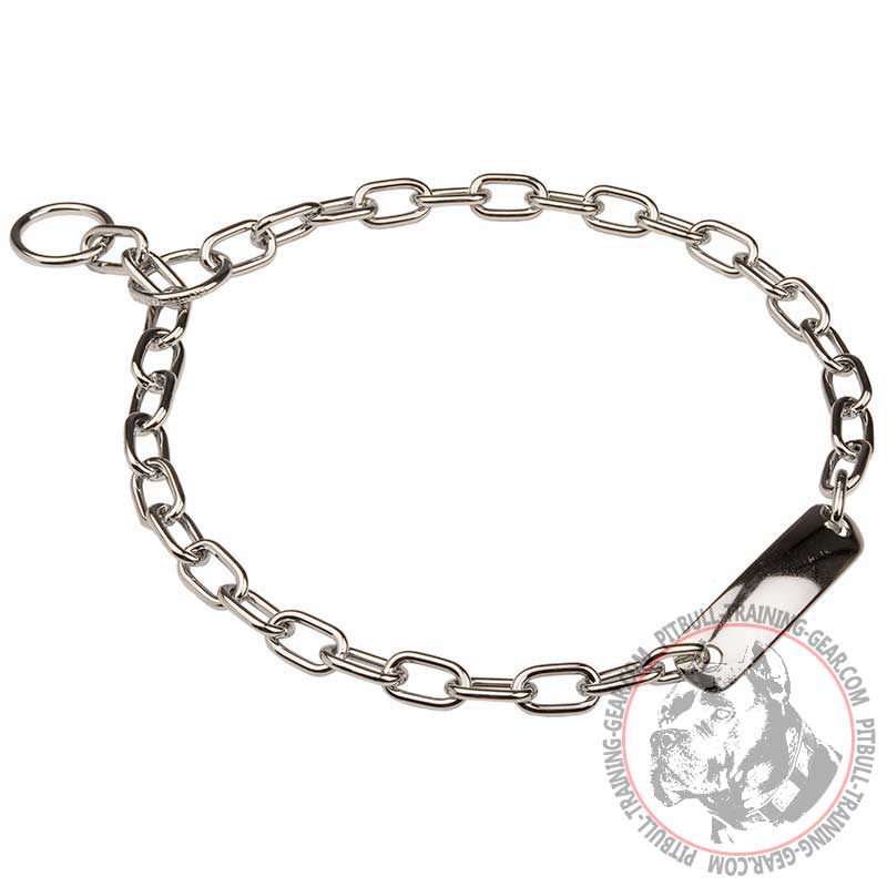 Chromium Plated Steel Fur Saver Dog Collar for Pitbull Width 3 MM With Plate