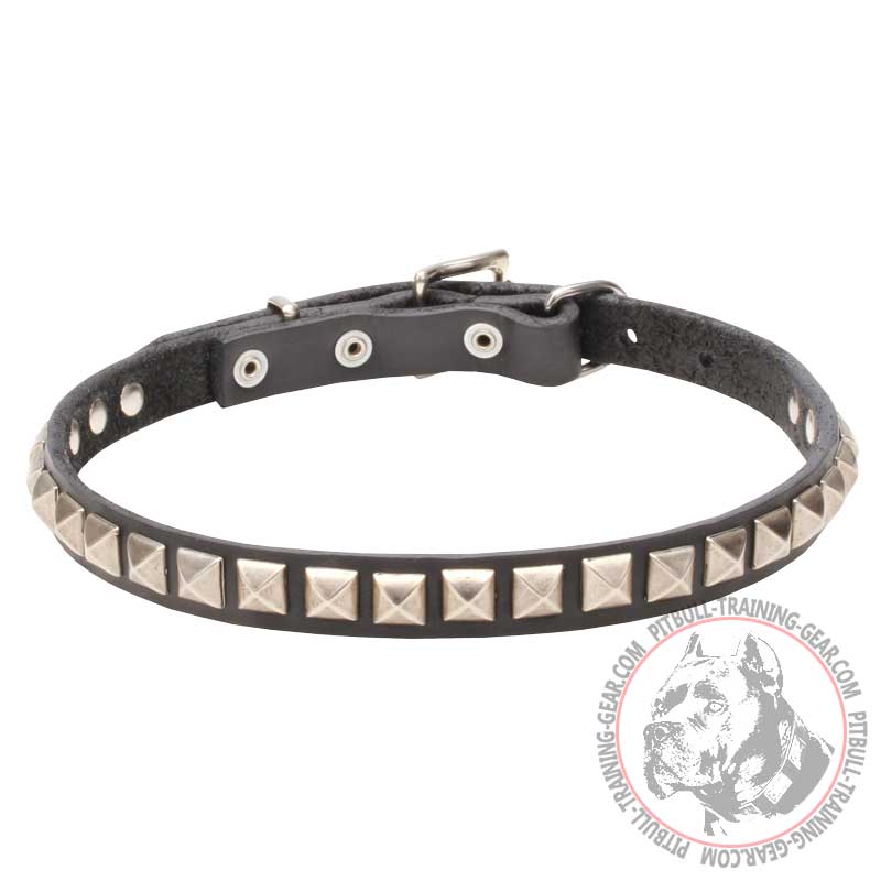 'King Studs' Leather Pitbull Collar with Chrome Plated Adornments - 4/5 inch (20 mm)