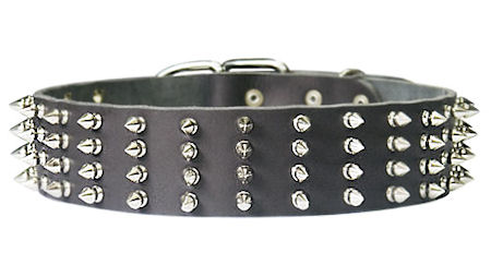 Leather spiked dog sales collars for pitbulls