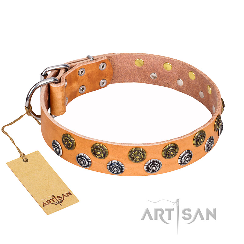 "Precious Sparkle" FDT Artisan Studded Leather Pitbull Collar - 1 1/2 inch (40 mm) wide