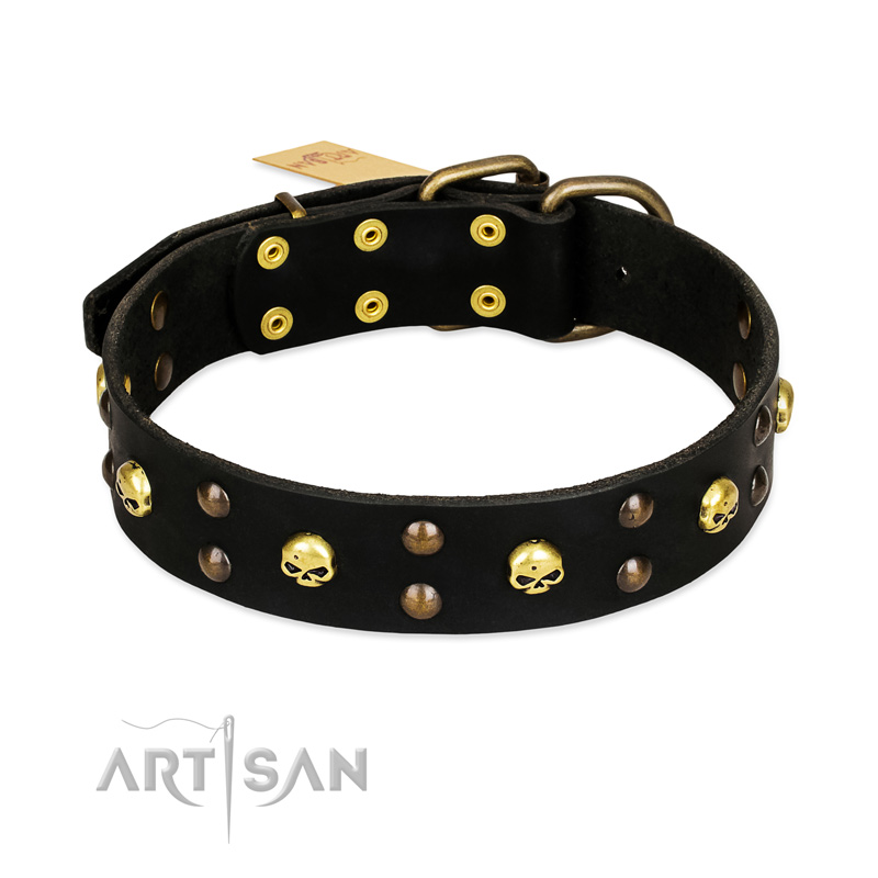 FDT Artisan 'Heavy Metal' Leather Pitbull Collar with Skulls and Studs 1 1/2 inch (40 mm)