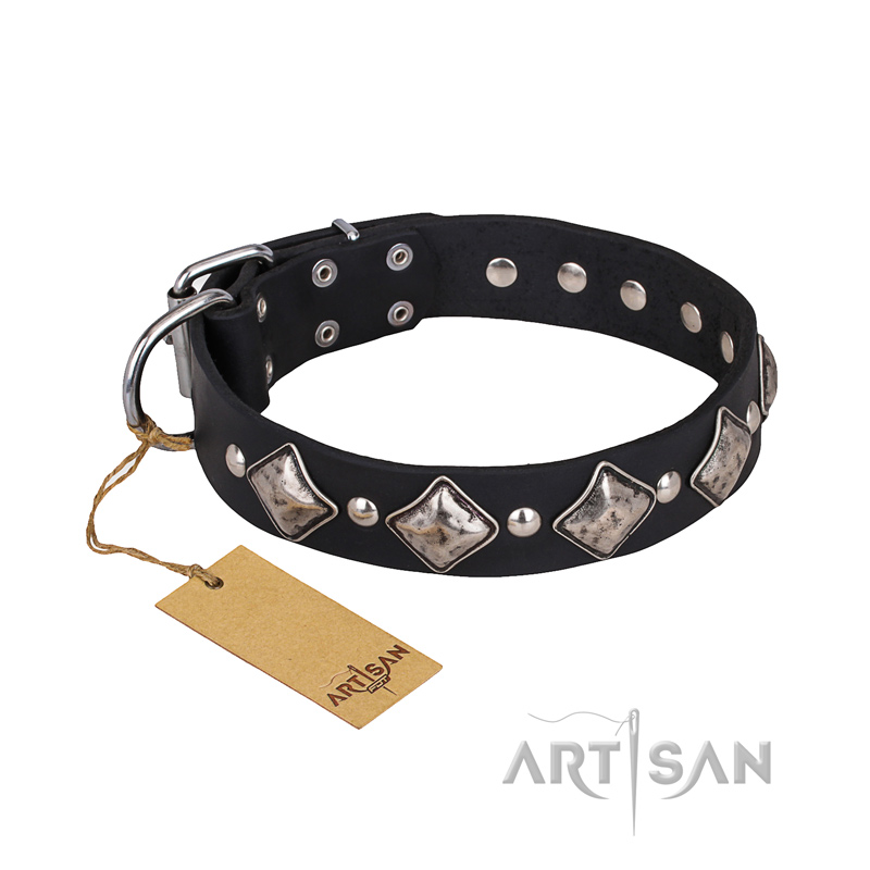 'Silver Charm' FDT Artisan Outstanding Leather Collar with Studs and Plates for Pitbull