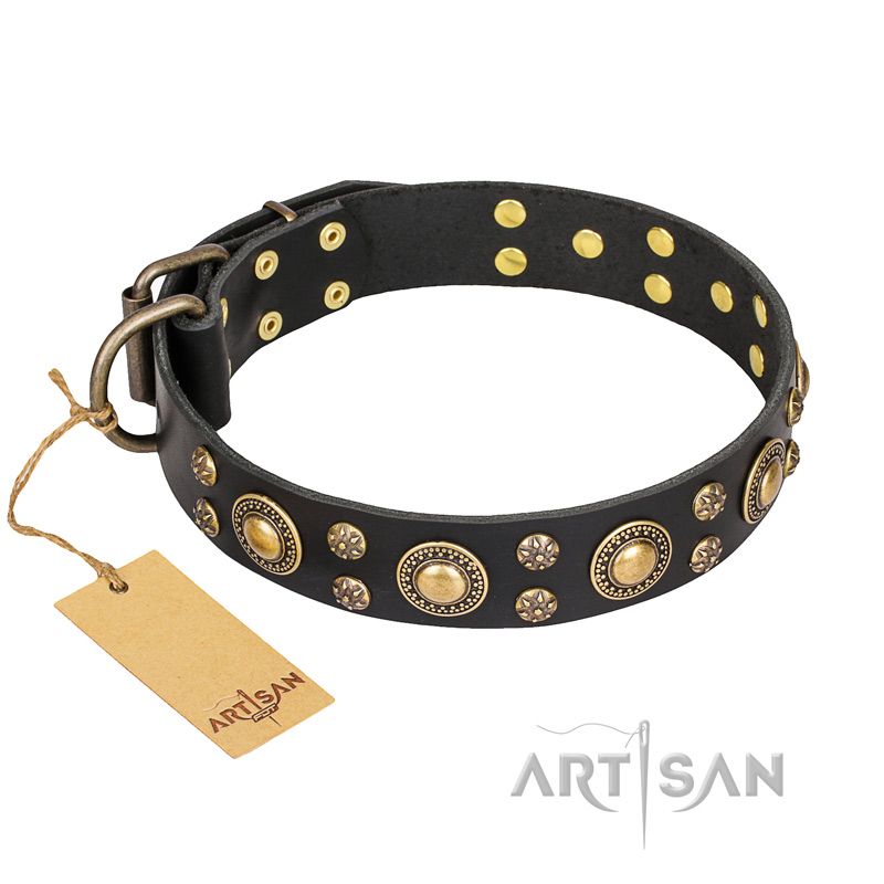 'Baroque Chic' FDT Artisan Studded Black Leather Pitbull Dog Collar