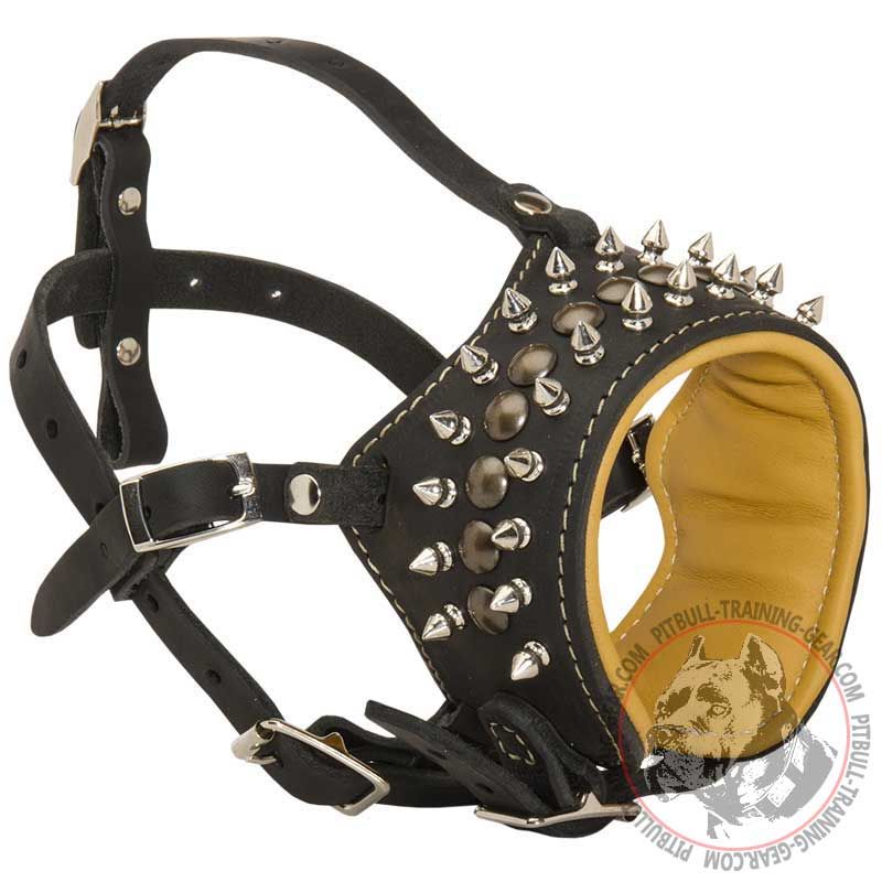 Spiked & Studded Leather Pitbull Muzzle for Anti-Barking Training