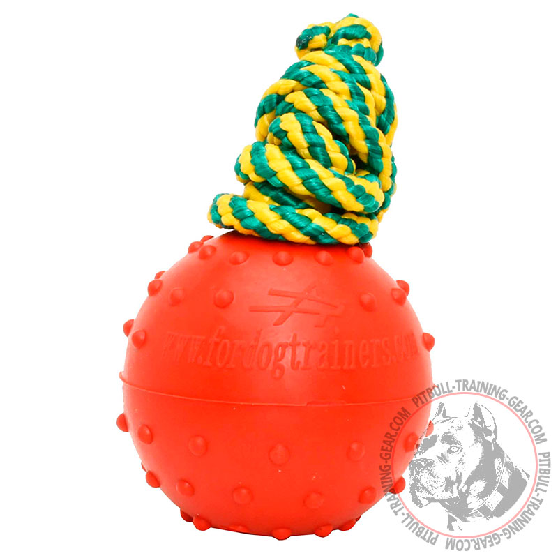 High Quality Pit Bull Training Water Ball on String - 2 1/3 inch (6 cm)